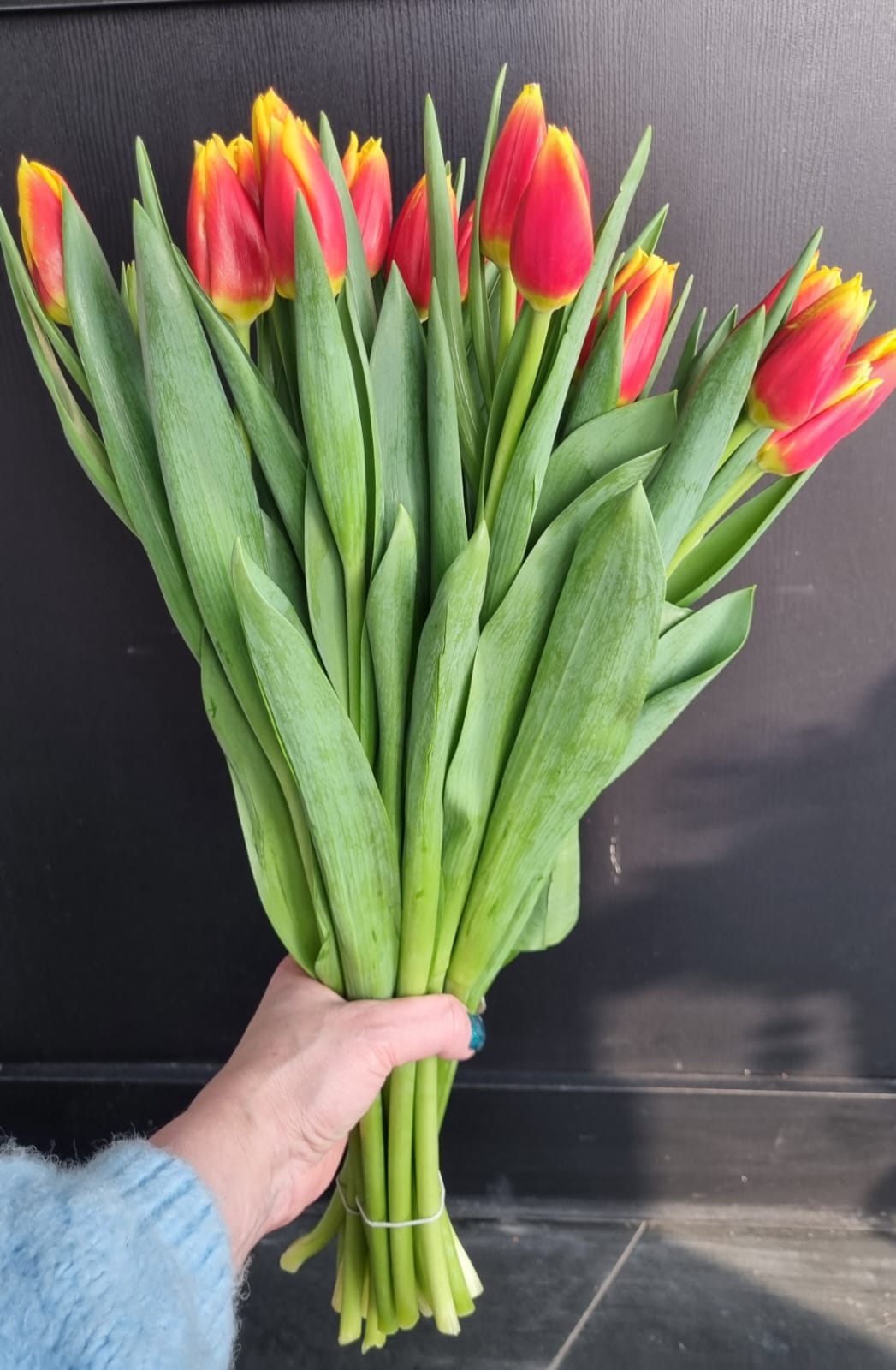 Тюльпаны доставка 170р доставка по Телефону 8968601 4848