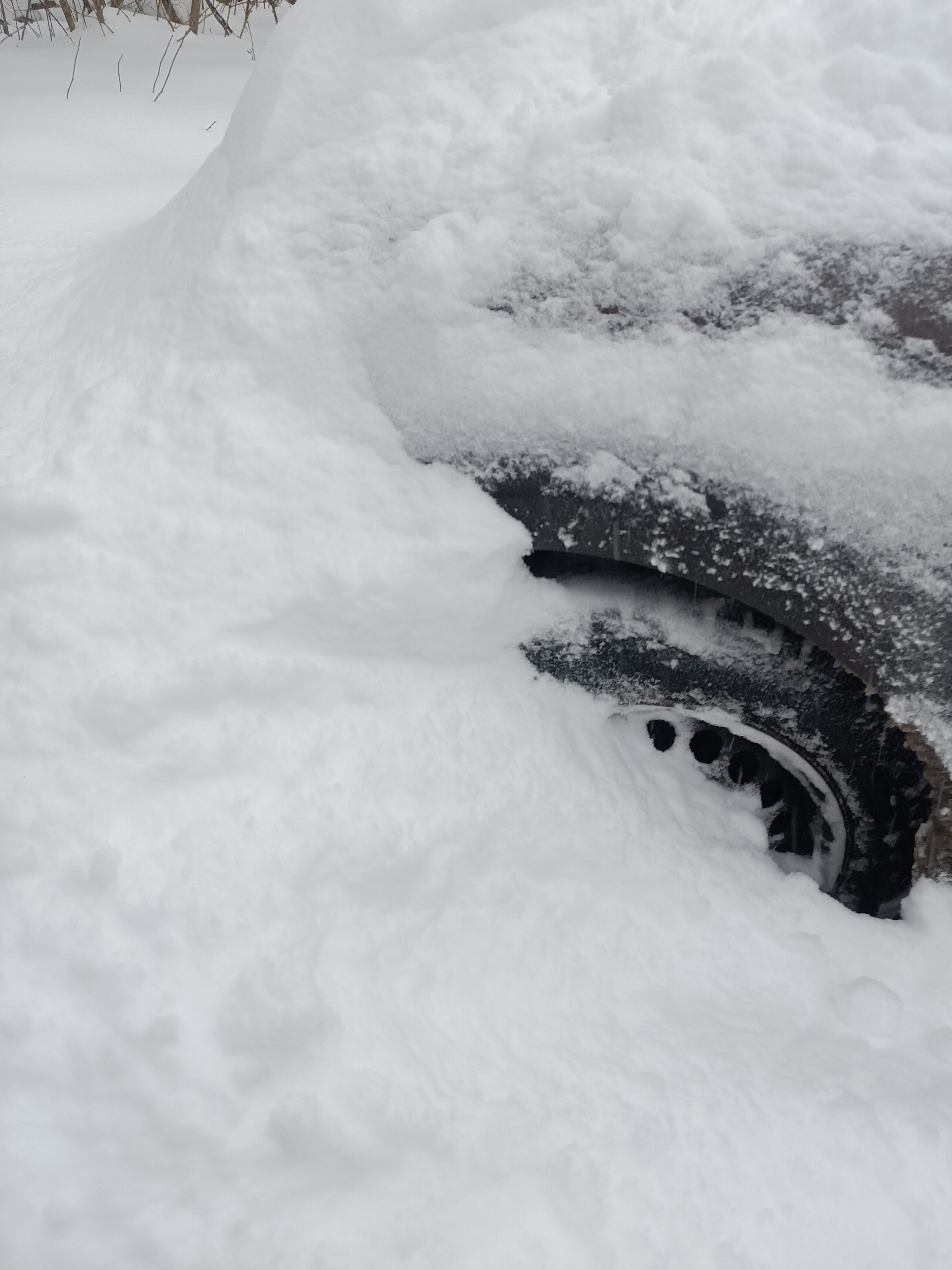 Сегодня вечером в Москве начнутся серьезные заморозки, сообщили местны
