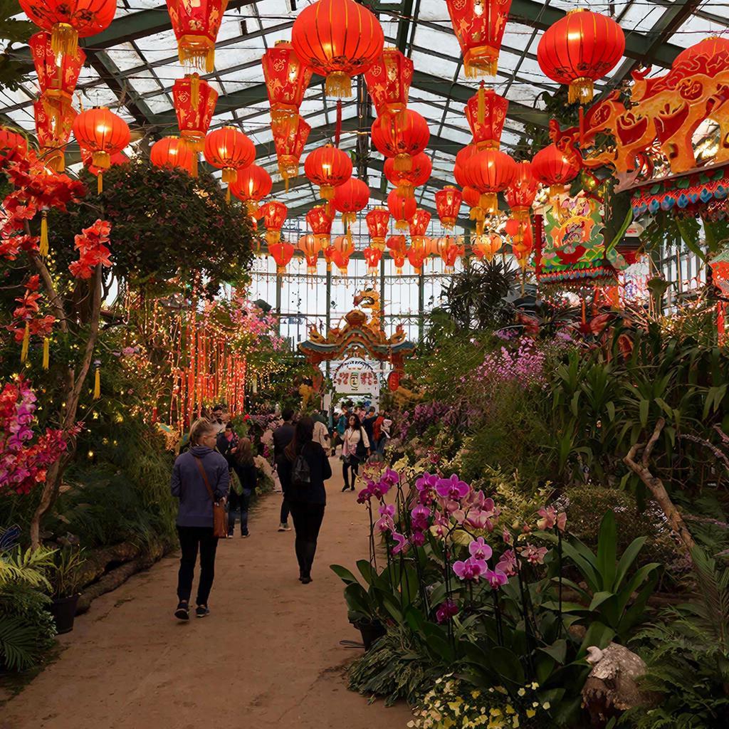 Фестиваль «Китайского Нового года» Погрузитесь в атмосферу праздника в